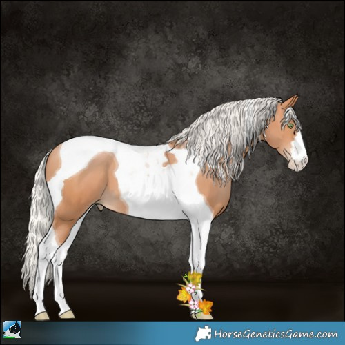 Horse Color:Silver Bay Pearl Tobiano 
