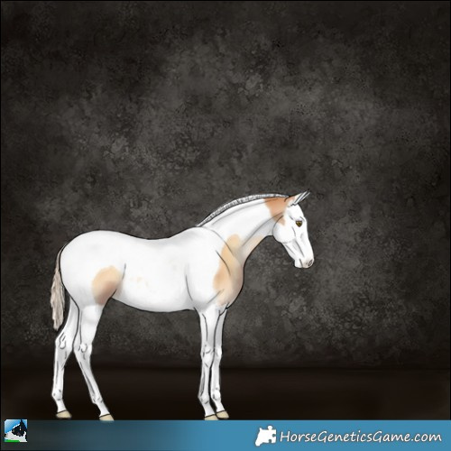 Horse Color:Red Onyx Pearl Splash Tobiano 