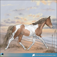 Horse Color:Liver Chestnut Pearl Tobiano Rabicano 