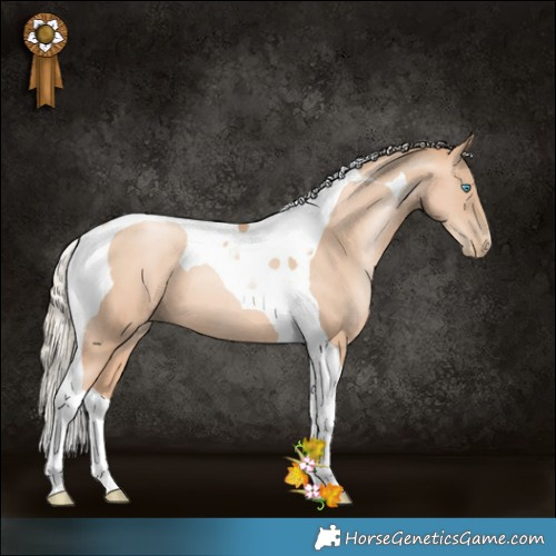 Horse Color:Gold Champagne Pearl Tobiano 