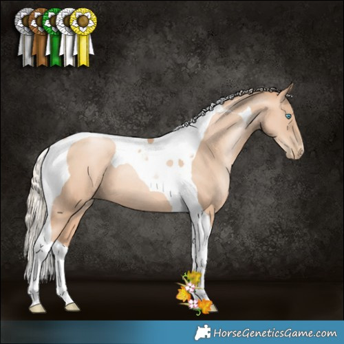 Horse Color:Gold Champagne Pearl Tobiano 