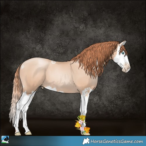 Horse Color:Classic Champagne Pearl Splash 