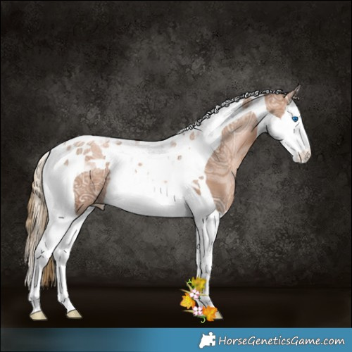 Horse Color:Liver Chestnut Ice Pearl Splash Tobiano 