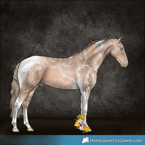 Horse Color:Liver Chestnut Ice Pearl Tobiano 