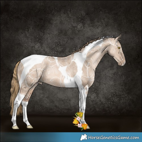 Horse Color:Liver Red Dun Ice Pearl Tobiano 