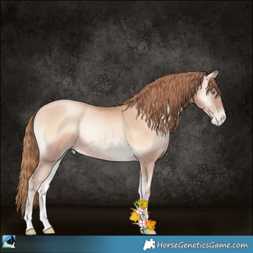Horse Color:Gold Champagne Pearl Onyx Rabicano 
