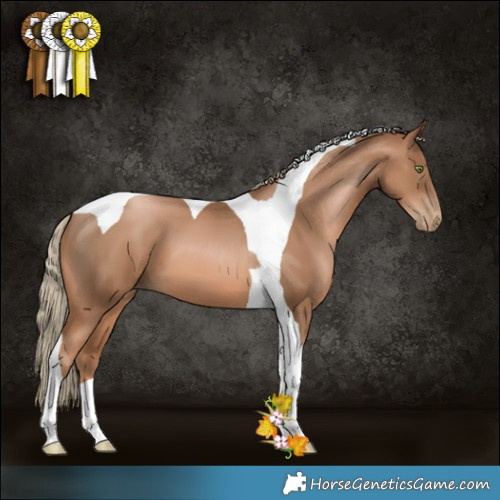 Horse Color:Liver Chestnut Pearl Tobiano 