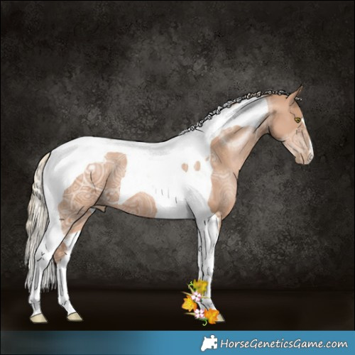 Horse Color:Chestnut Ice Pearl Tobiano 