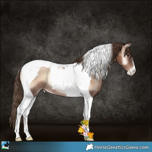 Horse Color:Liver Red Onyx Pearl Tobiano Rabicano 