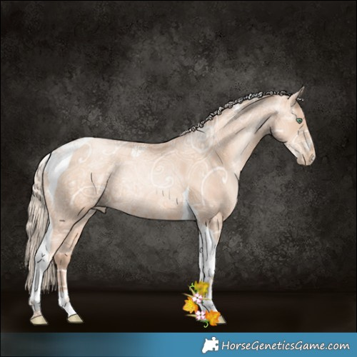 Horse Color:Gold Champagne Ice Pearl Tobiano 