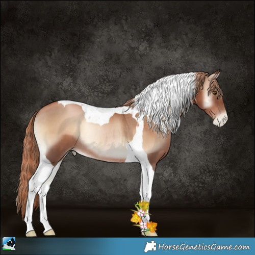 Horse Color:Liver Red Onyx Pearl Tobiano Rabicano 