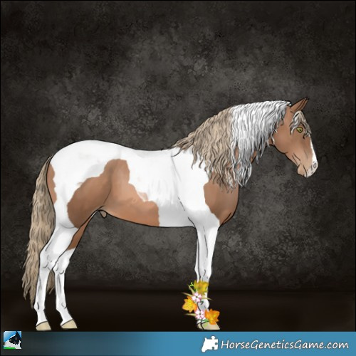 Horse Color:Liver Chestnut Pearl Tobiano 