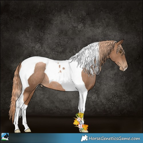 Horse Color:Liver Chestnut Pearl Tobiano Rabicano 