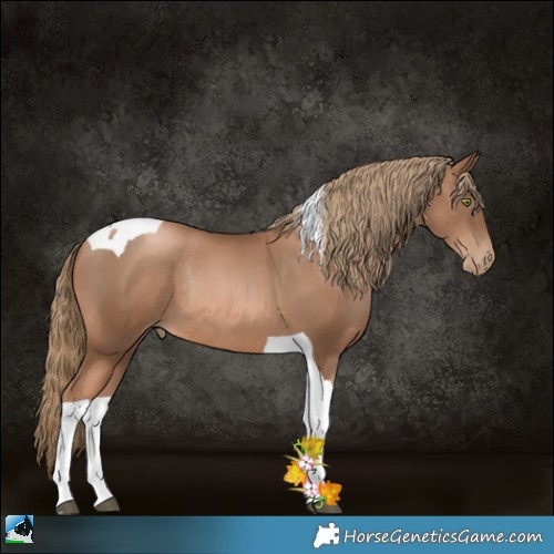 Horse Color:Liver Chestnut Pearl Tobiano Rabicano 