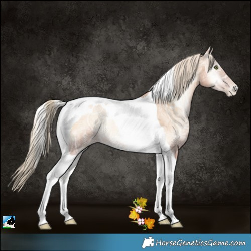 Horse Color:Gold Champagne Ice Pearl Onyx Tobiano Rabicano 