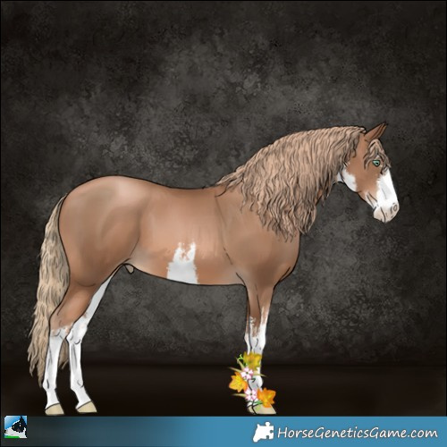 Horse Color:White Spotted Liver Chestnut Pearl 