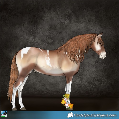 Horse Color:Liver Red Onyx Pearl Tobiano 