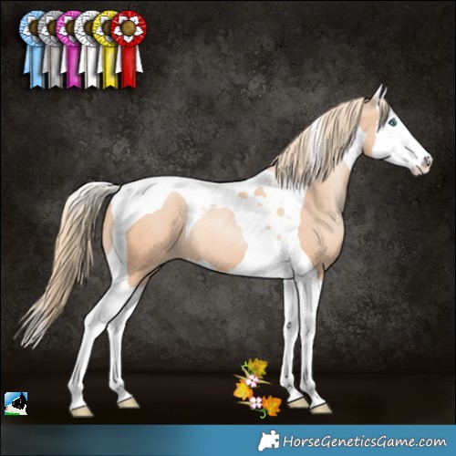 Horse Color:Gold Champagne Pearl Splash Tobiano 