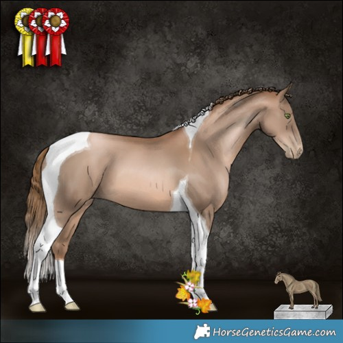 Horse Color:Liver Chestnut Pearl Tobiano 