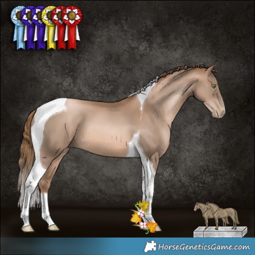Horse Color:Liver Chestnut Pearl Tobiano 