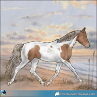 Horse Color:Liver Chestnut Pearl Tobiano 