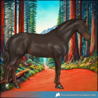 Horse Color:Liver Chestnut Rabicano 