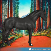 Horse Color:Liver Chestnut Rabicano