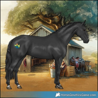 Horse Color:Black 
