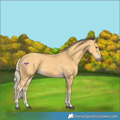 Horse Color:Palomino 