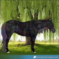 Horse Color:Nacre Black Ice 