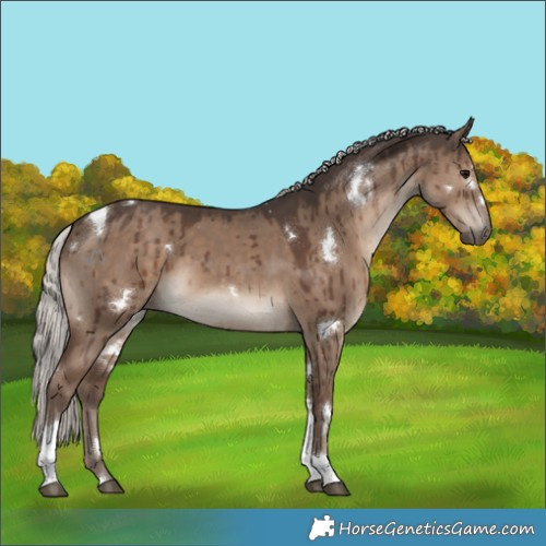 Horse Color:White Spotted Silver Grullo Tobiano Brindle 
