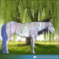 Horse Color:Painted Grullo Ice Frame 
