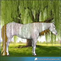 Horse Color:Painted Grullo Chinchilla Ice Splash 