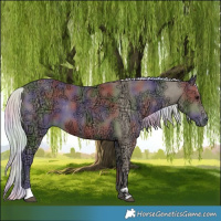Horse Color:Nacre Silver Smoky Black Ice 