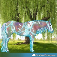 Horse Color:Nacre Thunderstruck White Spotted Silver Smoky Grullo Splash Tobiano 