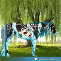 Horse Color:Thunderstruck Smoky Grullo Ice Splash Tobiano 