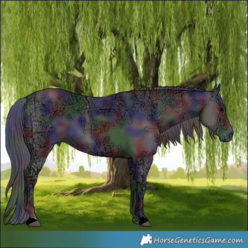 Horse Color:Nacre Smoky Black Ice 
