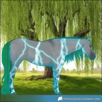 Horse Color:Painted Thunderstruck Grullo Chinchilla 