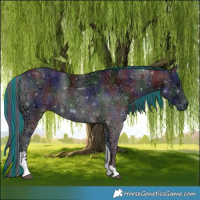 Horse Color:Painted Nacre Black Ice Tobiano 
