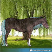 Horse Color:Painted Silver Smoky Black Ice Tobiano 