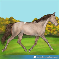 Horse Color:Brown Pearl Dun Tobiano Rabicano