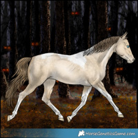 Horse Color:Brown Snowdrop Dun Tobiano Rabicano 