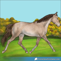 Horse Color:Brown Pearl Dun Tobiano Rabicano 