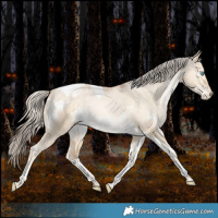 Horse Color:White Spotted Liver Red Dun Snowdrop Tobiano Varnish Rabicano 