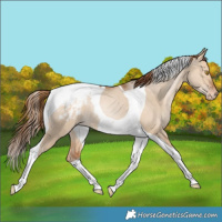 Horse Color:Brown Snowdrop Pearl Dun Tobiano Snowcap Rabicano 