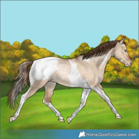 Horse Color:Bay Snowdrop Pearl Dun Tobiano Snowcap Rabicano 