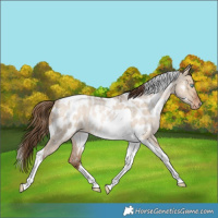 Horse Color:Brown Roan Snowdrop Pearl Dun Tobiano Near Leopard Rabicano 