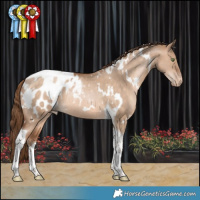 Horse Color:White Spotted Bay Pearl Dun Tobiano Appaloosa Rabicano 