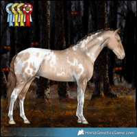 Horse Color:White Spotted Bay Snowdrop Dun Tobiano Blanket Rabicano