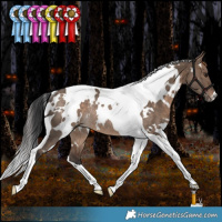 Horse Color:White Spotted Bay Dun Tobiano Rabicano
